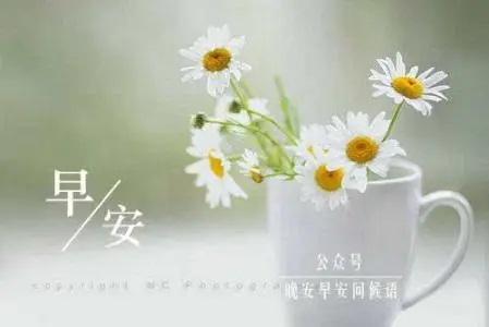 早上一句话问好