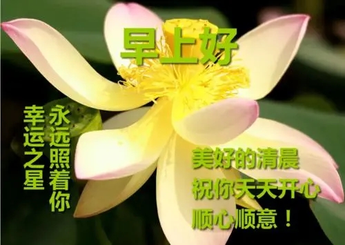 早上好短信问候