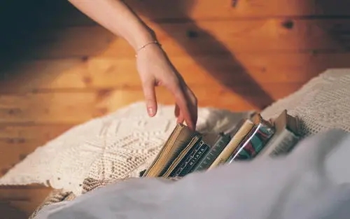 夸女人全能的句子文案