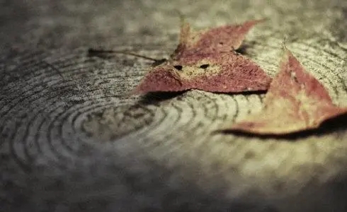 离开和挽留的句子文案