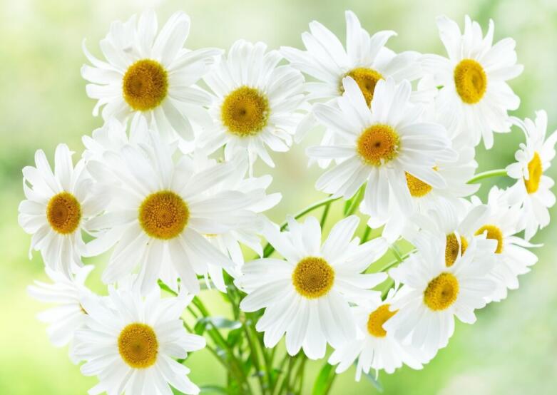 积极阳光温暖八字短句