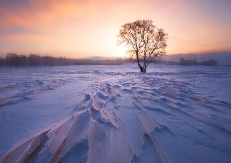吸引人的情话文案标题