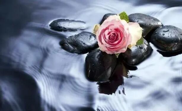 很有意境的唯美句子文案