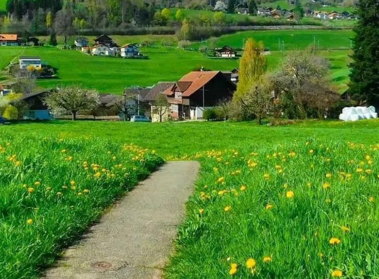 享受大自然的唯美句子文案