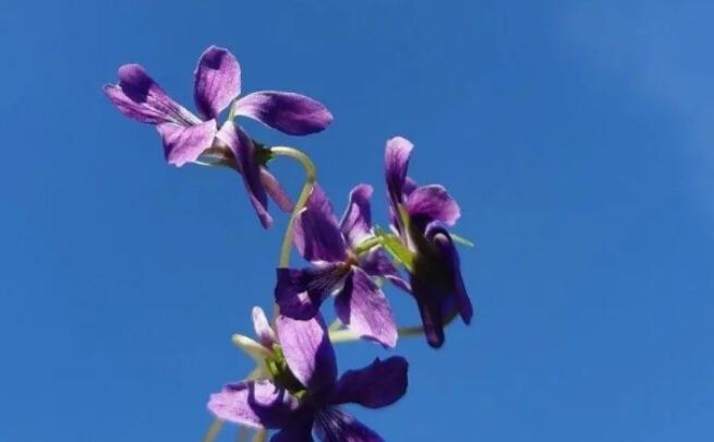 关于三月的唯美句子文案