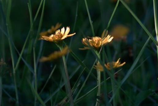 朋友之间互相鼓励的句子文案
