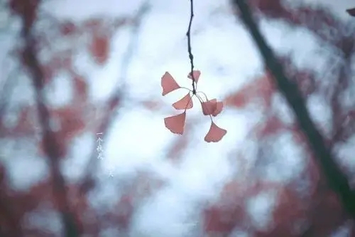 好好做人的语录文案