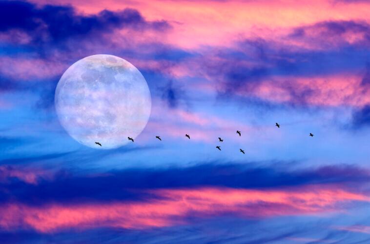 喜欢怎么去表达的句子文案