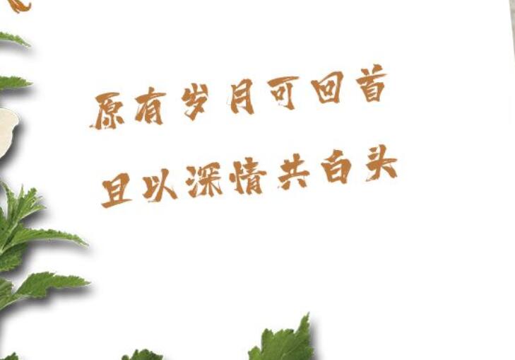 送给一对情侣的祝福语