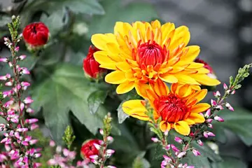 今天收获不错的说说文案