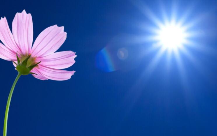 早安语录文案正能量心语