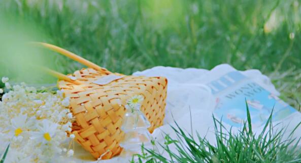 描写夏天的一段话