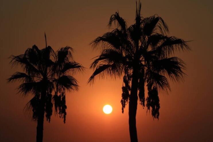 24节气的摘抄资料