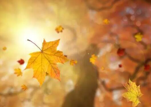 形容秋天的句子文案