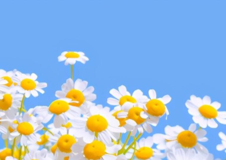 对女孩说一些好听的话