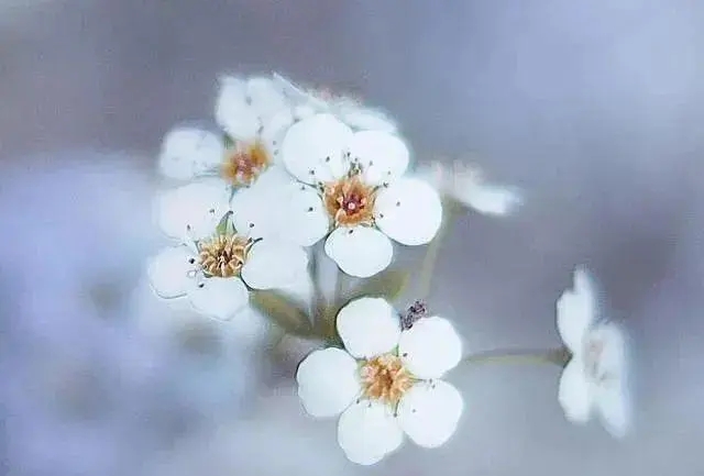 开车污的句子文案我硬了