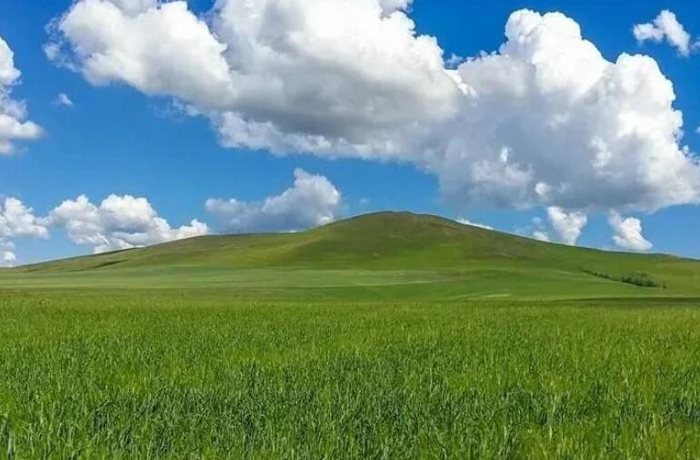 大草原旅游的心情说说文案