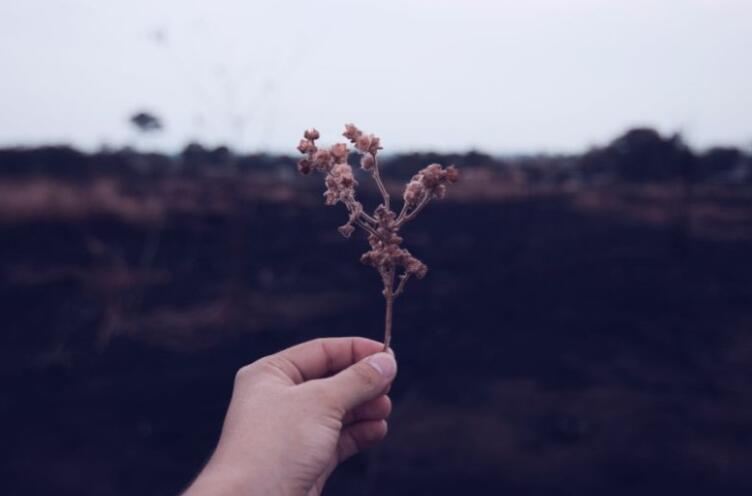 也许人生就是这样说说文案