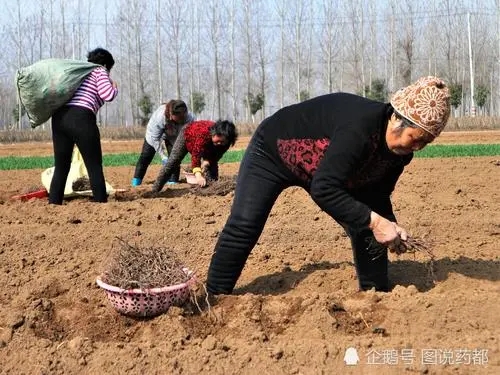 干农活累的句子文案发朋友圈