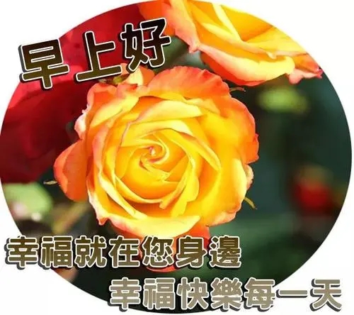 早上问候语早上温馨问候语