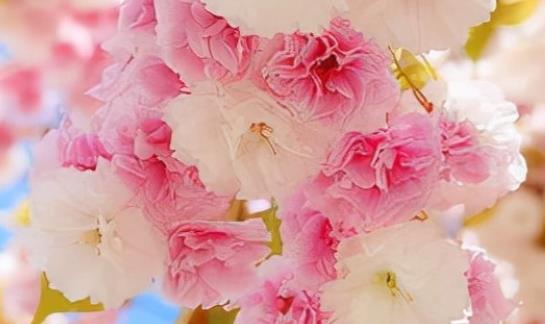 适合发qq的伤感说说文案