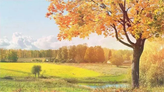 美好的一天结束了短语