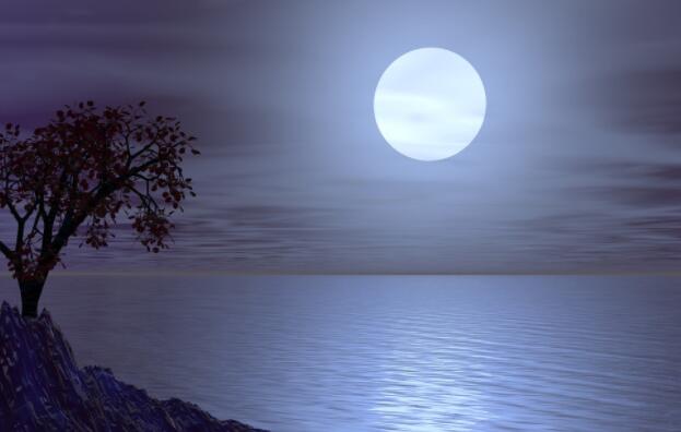 月光的唯美的诗句文案