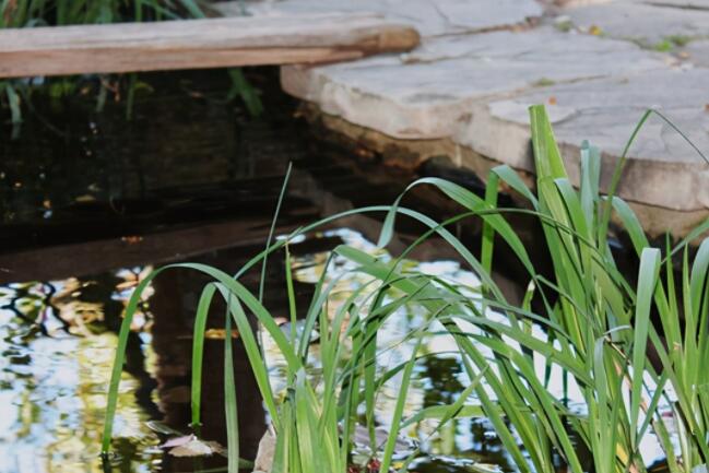 小院朋友圈说说文案