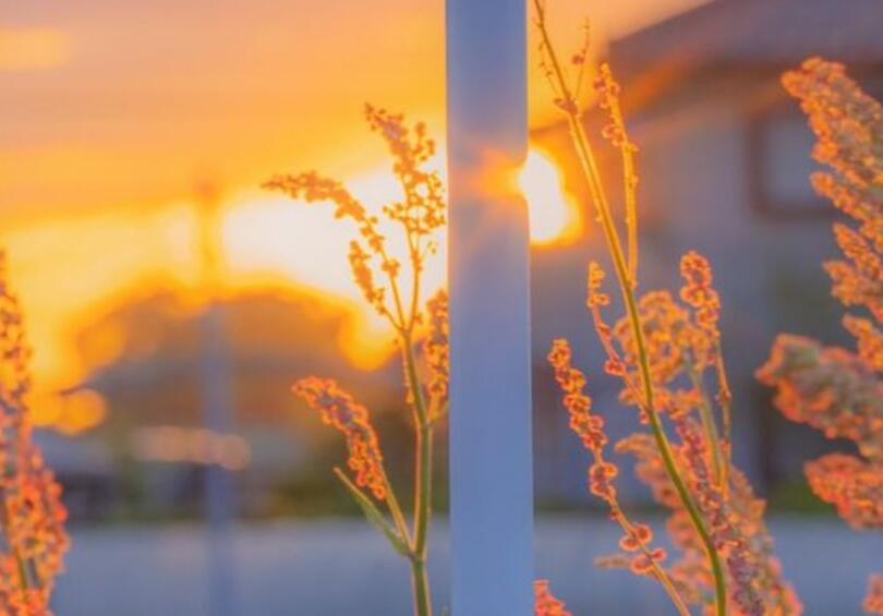 古风温柔干净无关爱情的句子文案