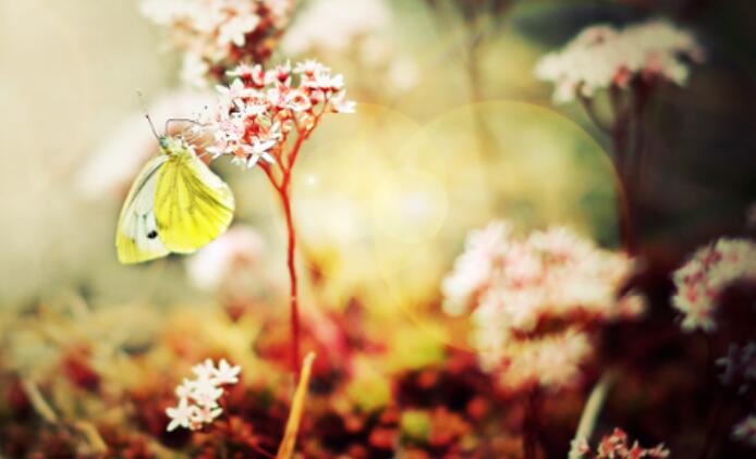 相识纪念日心情说说文案