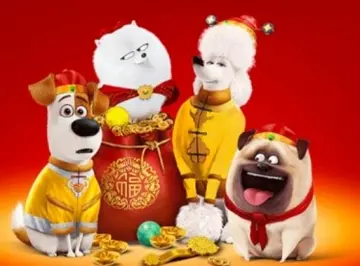 本命年适合发圈的句子文案