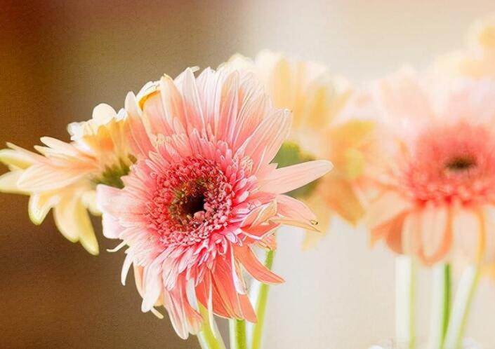 疼到睡不着的说说文案