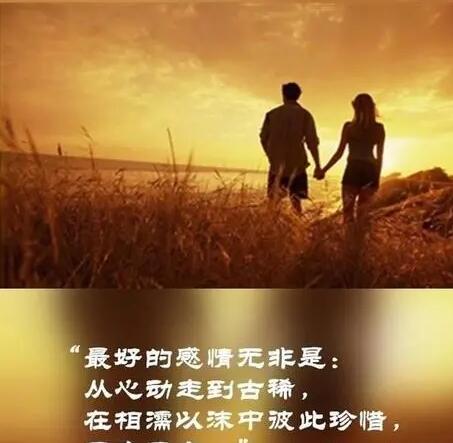 告诉对方要珍惜的句子文案