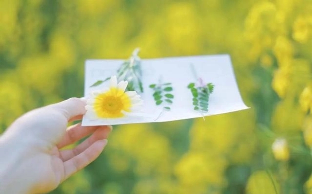 美好的句子文案简短