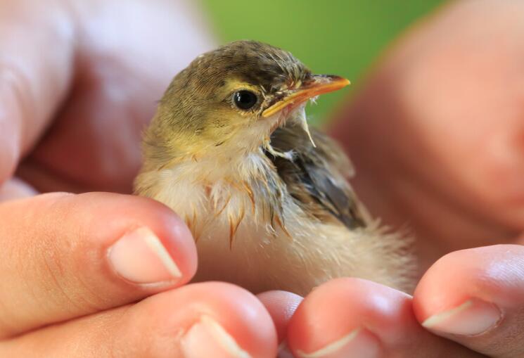 行善积德的句子文案
