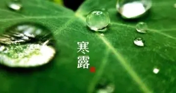 描写寒露的唯美句子文案