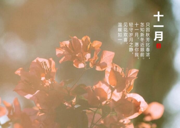 十一月你好朋友圈正能量