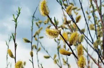 早晨励志寄语大全2021