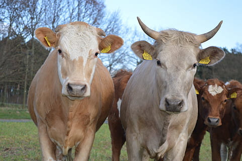 能表达有你真好的句子文案
