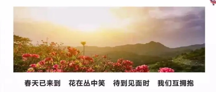 描述笑容灿烂的句子文案