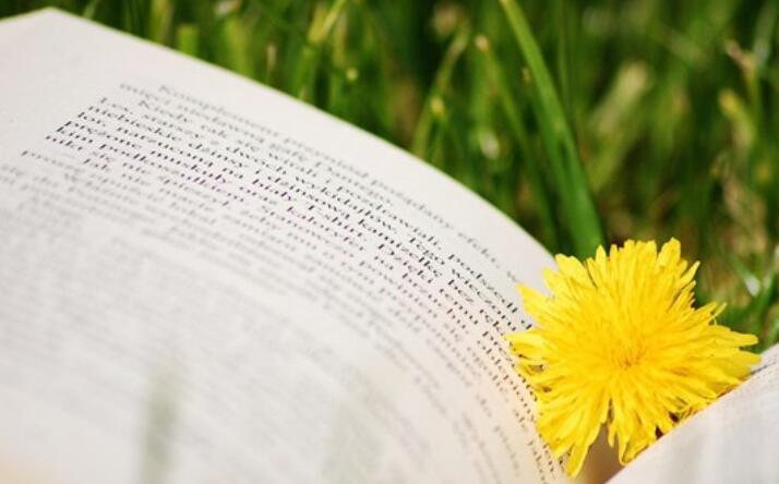 越努力越幸运励志语录文案