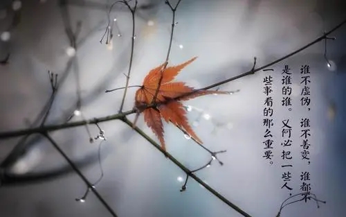 形容失望和心凉的诗句文案