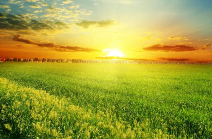 优美散文句子文案摘抄简短励志