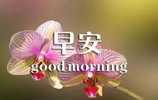 2021早上健康问候语