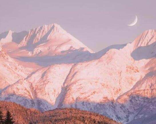 表示自己很纯洁的句子文案