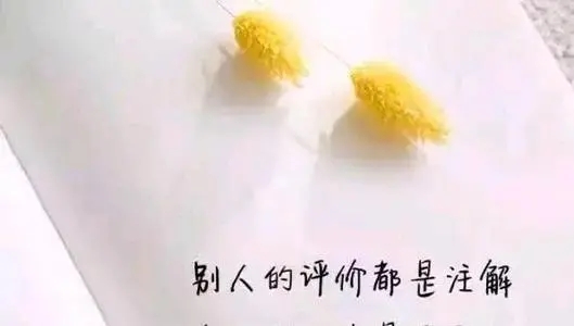 上帝的话语发朋友圈