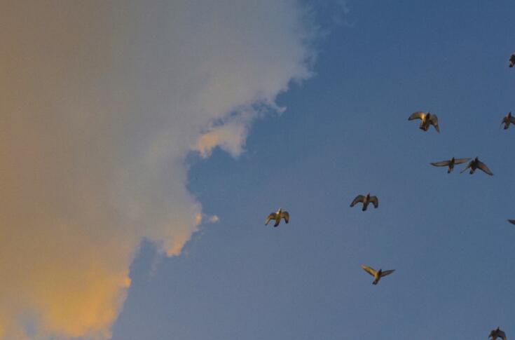 伤心唯美古风情感语录文案