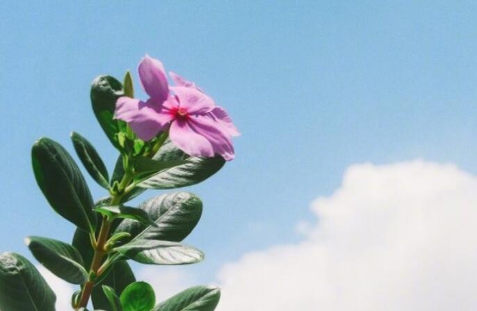 鼓励人努力奋斗的句子文案