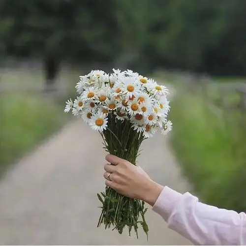 怀念去世亲人的诗句文案