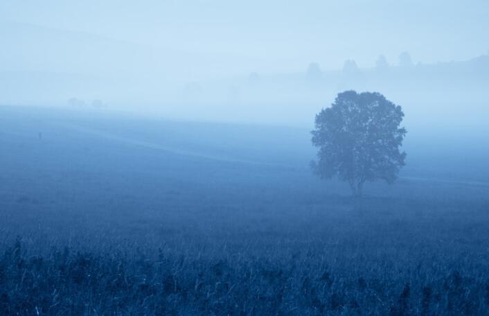 形容绝不服输的诗句文案